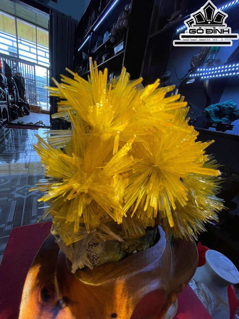 Bông Hoa Ưu Đàm Đá Trầm Tích Cao 28 (cm) 4,5kg