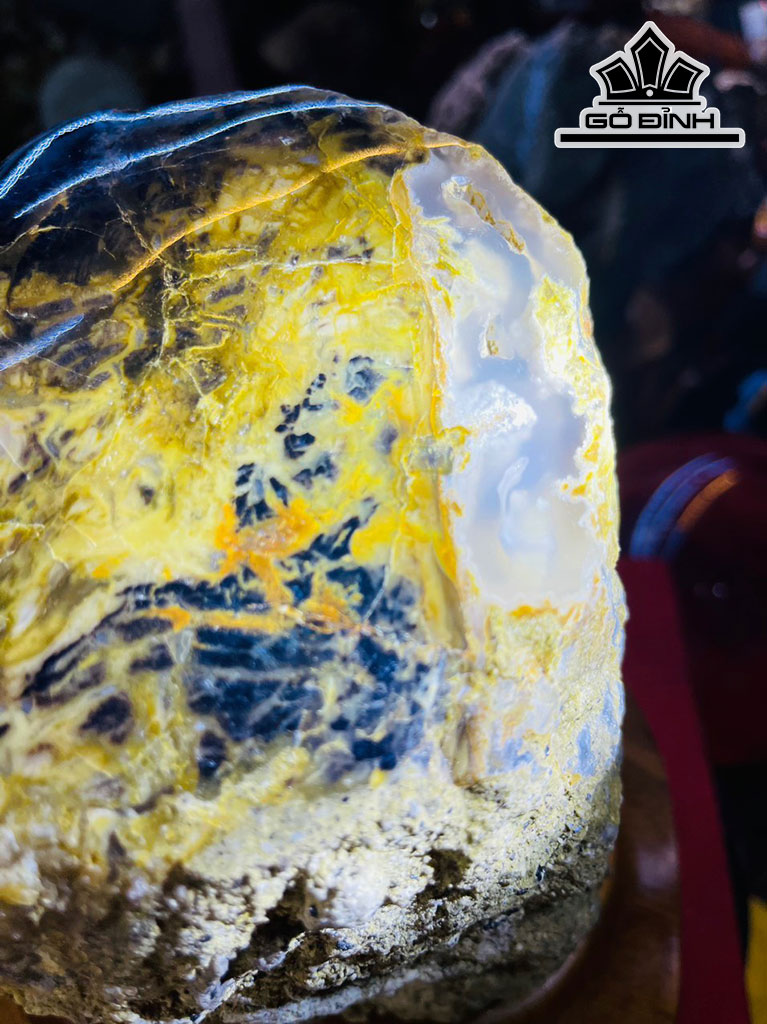 Tác Phẩm Gỗ Hóa Thạch Cao 28 Đường Kính 13 (cm) 7kg