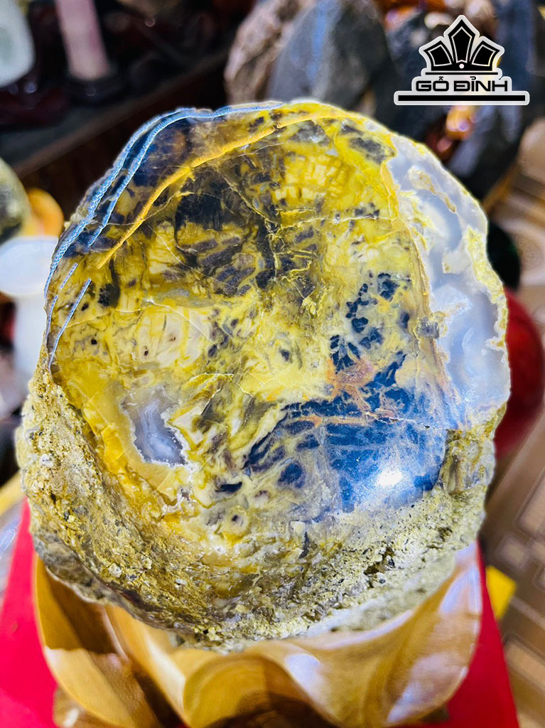 Tác Phẩm Gỗ Hóa Thạch Cao 28 Đường Kính 13 (cm) 7kg