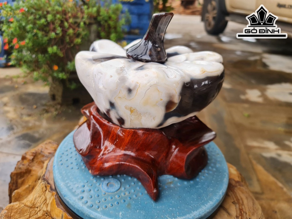 Tác Phẩm Bí Ngô Gỗ Hóa Ngọc Cao 20 Ngang 15 (cm) 5kgLoại Gỗ