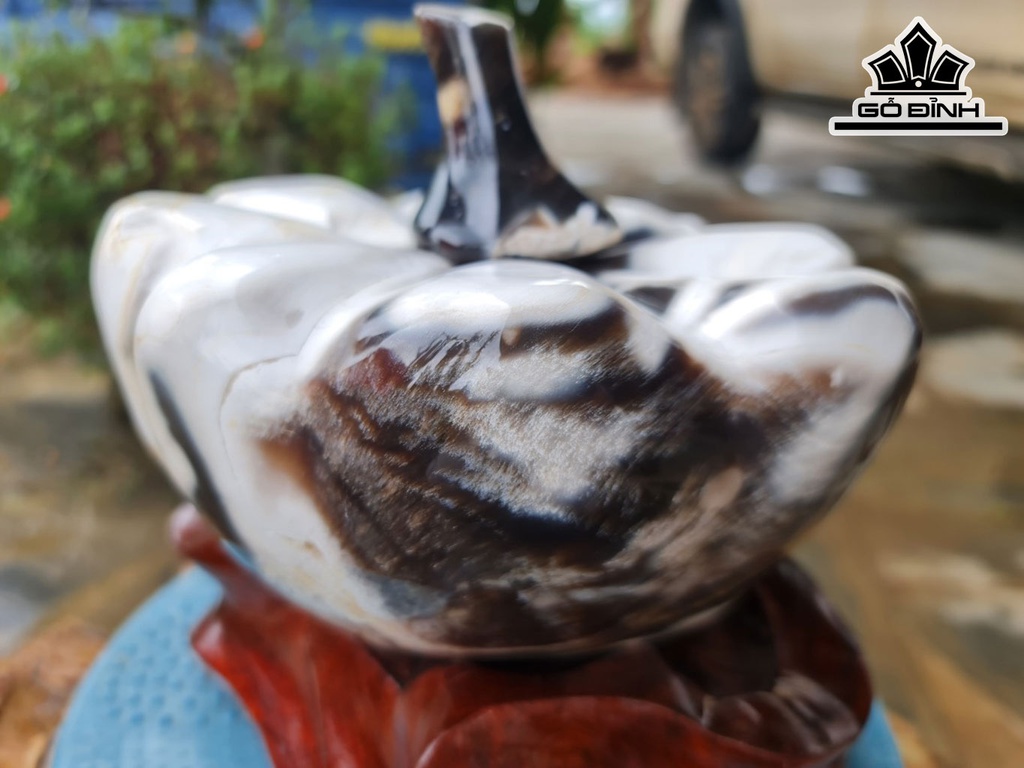 Tác Phẩm Bí Ngô Gỗ Hóa Ngọc Cao 20 Ngang 15 (cm) 5kgLoại Gỗ