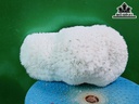 Tác Phẩm Cây San Hô Cao 23 Ngang 13 (cm)