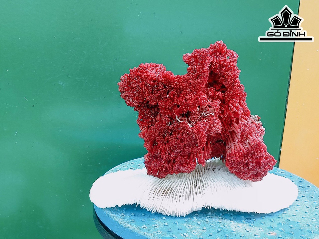 Tác Phẩm Đá San Hô Cao 16 Ngang 22 (cm)