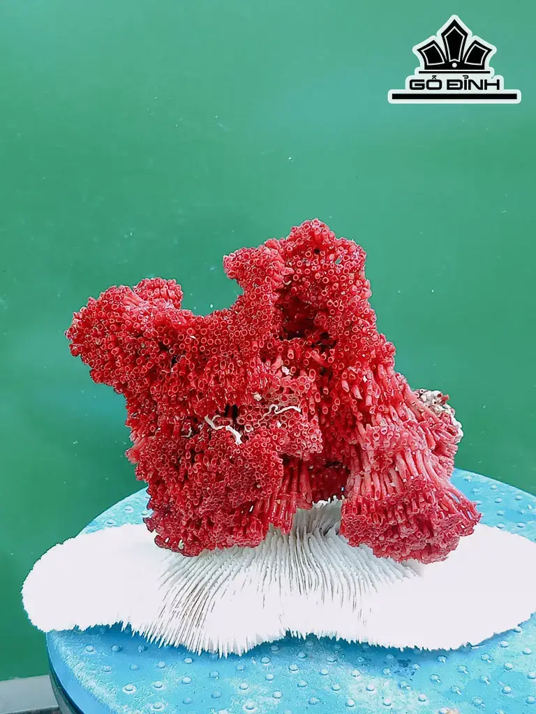 Tác Phẩm Đá San Hô Cao 16 Ngang 22 (cm)