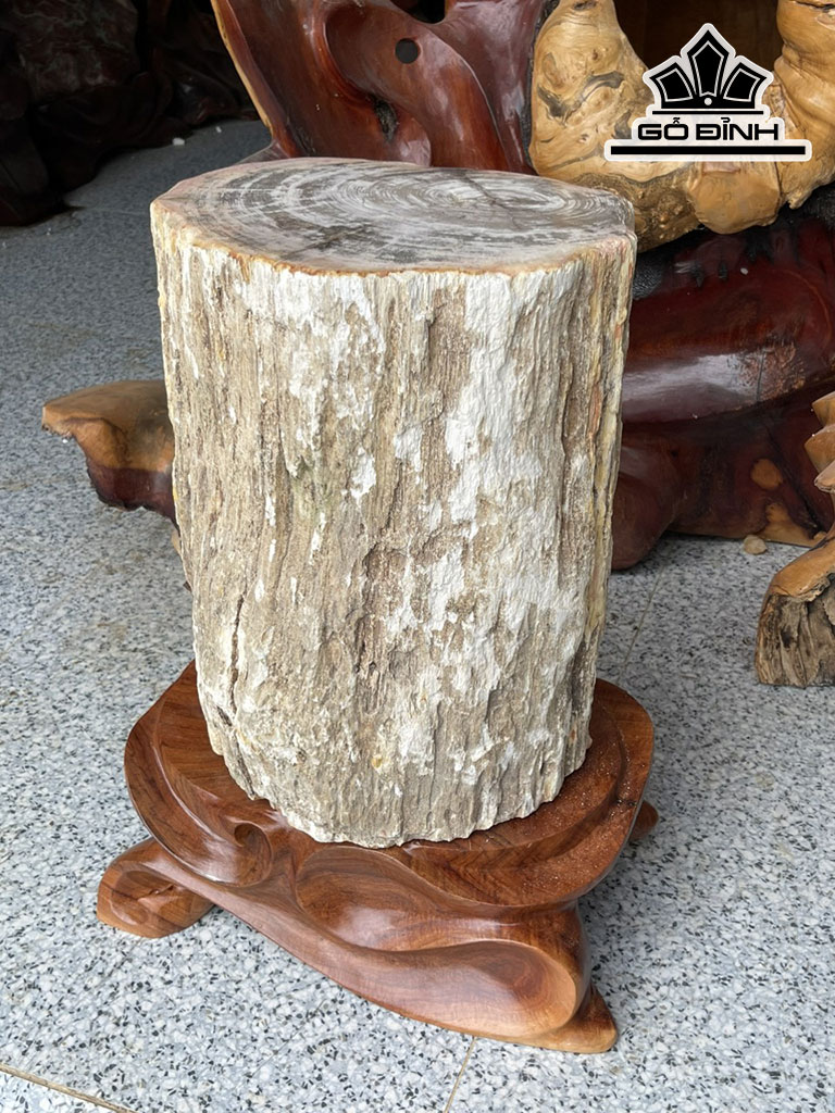 Tác Phẩm Gỗ Hóa Thạch Cao 40 Đường Kính 31 (cm) 107kg
