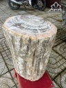 Tác Phẩm Gỗ Hóa Thạch Cao 40 Đường Kính 31 (cm) 107kg