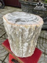 Tác Phẩm Gỗ Hóa Thạch Cao 40 Đường Kính 31 (cm) 107kg