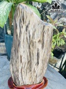 Tác Phẩm Gỗ Hóa Thạch Cao 61 (cm) 11kg