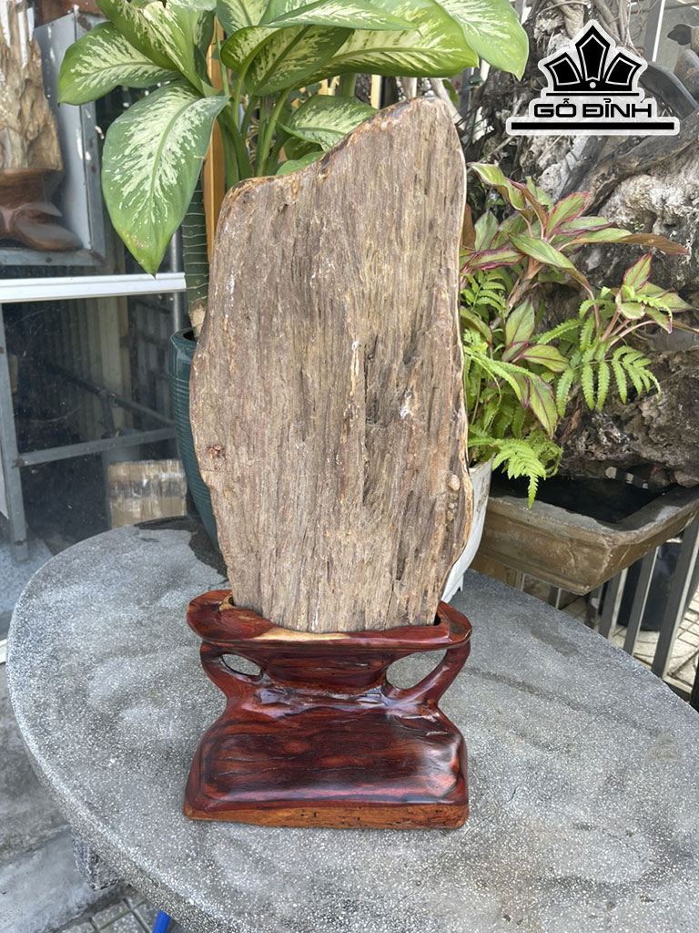 Tác Phẩm Gỗ Hóa Thạch Cao 61 (cm) 11kg