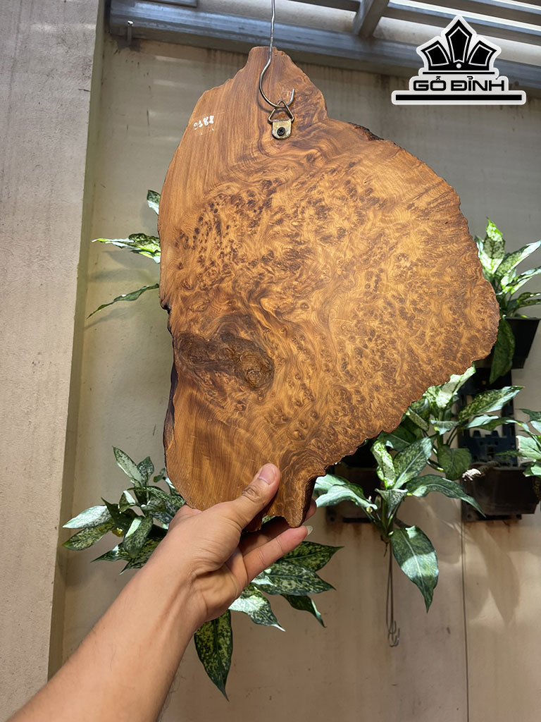 Diện Phật Di Lặc Gỗ Nu Hương Cao 48 Ngang 32 Sâu 10 (cm)