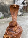 Tượng Rắn Phong Thủy Gỗ Hương Cao 44 Ngang 23 Sâu 16 (cm)