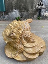 Tượng Thiềm Thừ Gỗ Nu Nghiến Cao 20 Ngang 32 Sâu 26 (cm)