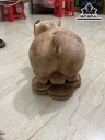 Heo Tài Lộc Gỗ Ngọc Am Cao 23 Ngang 35 Sâu 20 (cm)