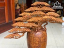 Cặp Bình Tùng Bonsai Gỗ Nu Hương Cao 75 Ngang 68 Đường Kính 26 (cm)