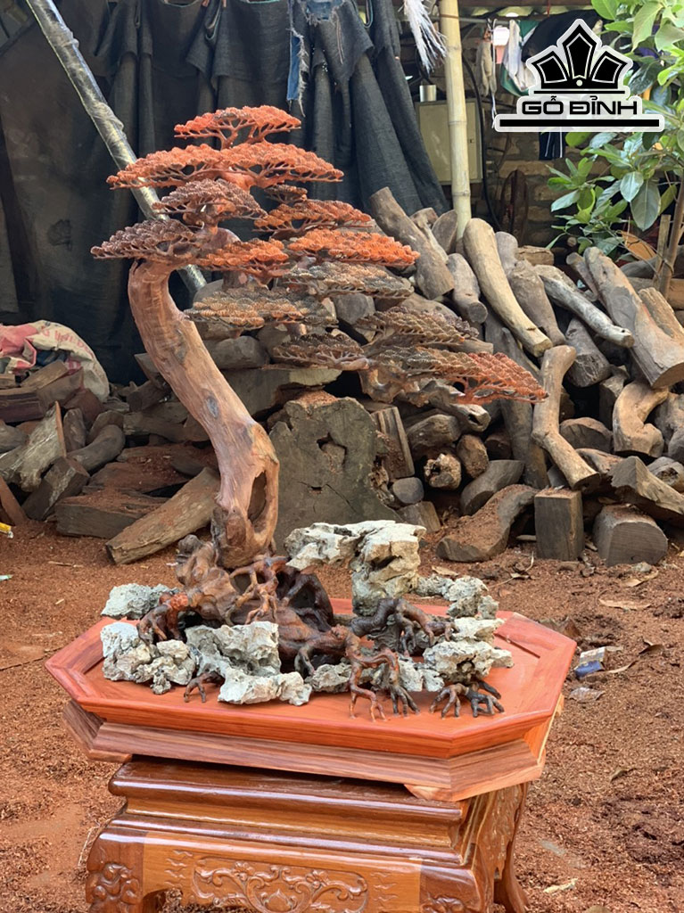 Cây Tùng Bonsai Gỗ Trắc Cao 76 Ngang 32 Sâu 38 (cm)