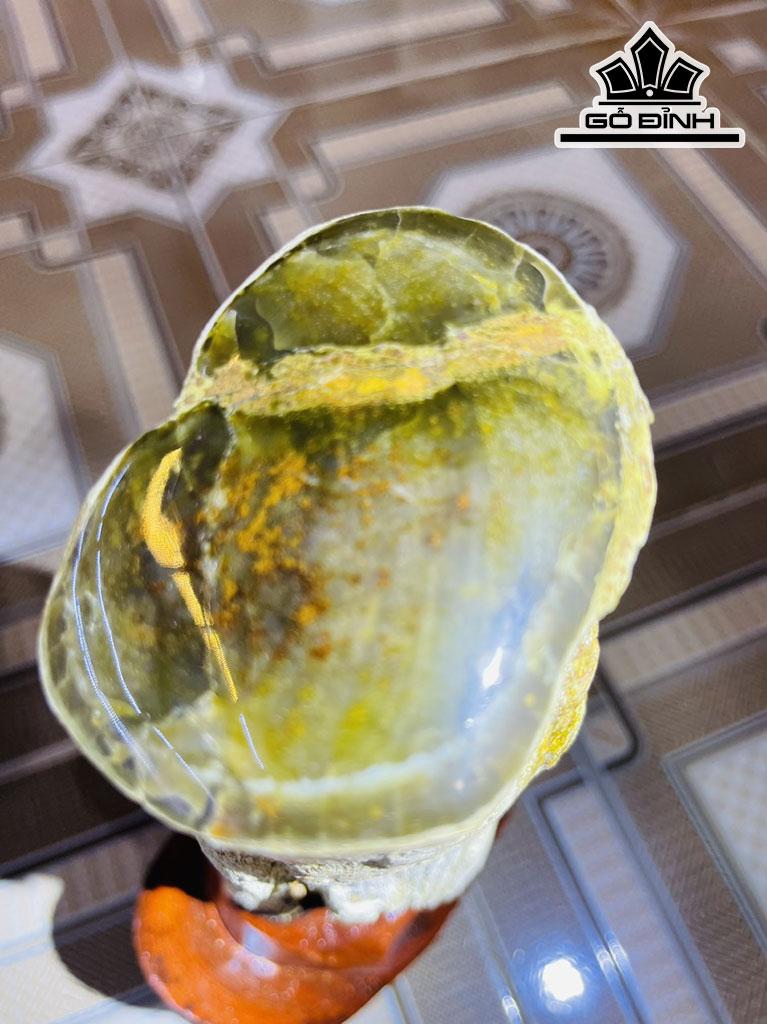 Tác Phẩm Gỗ Hóa Thạch Cao 31 (cm) 2,3kg