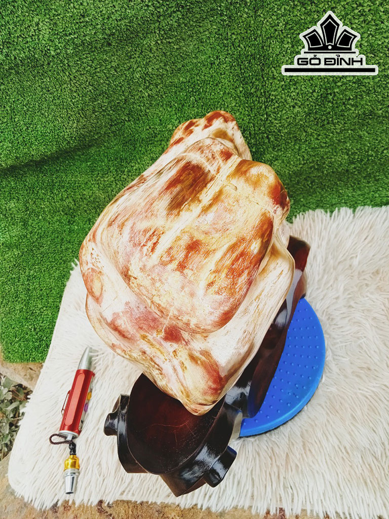 Tác Phẩm Gỗ Hóa Thạch Cao 33 Ngang 28 (cm) 15kg