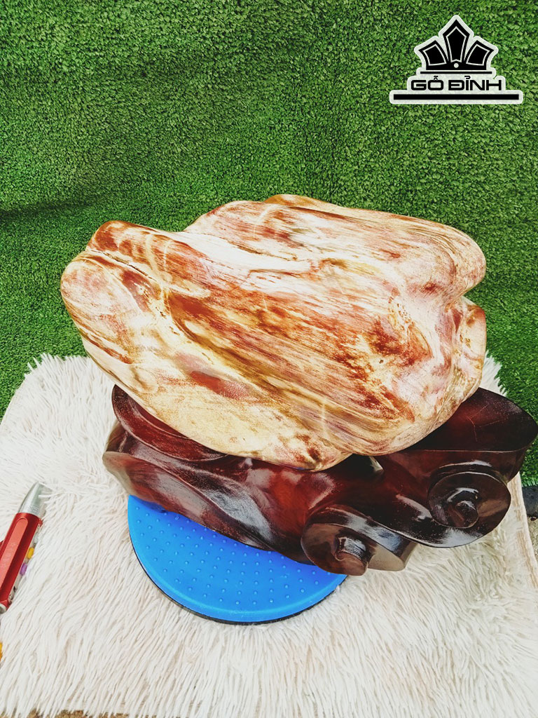 Tác Phẩm Gỗ Hóa Thạch Cao 33 Ngang 28 (cm) 15kg
