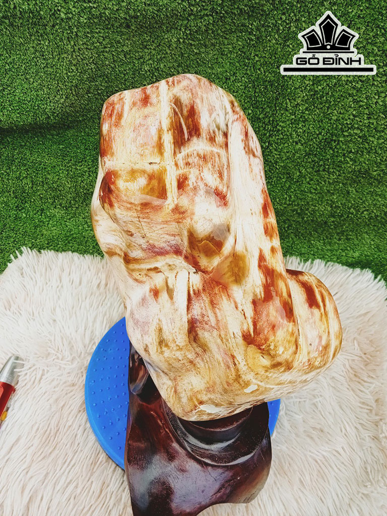 Tác Phẩm Gỗ Hóa Thạch Cao 33 Ngang 28 (cm) 15kg