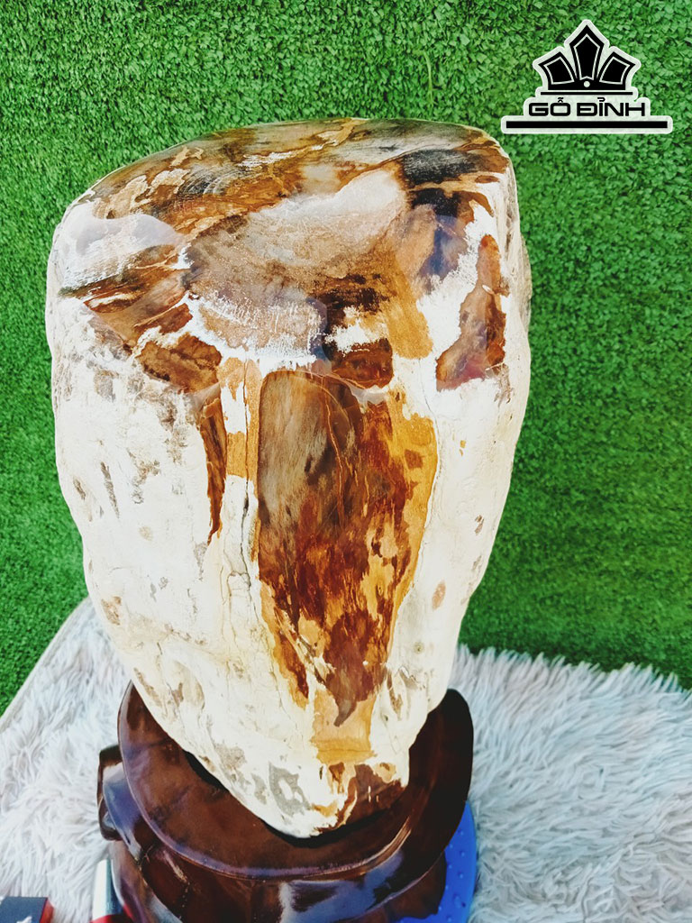Tác Phẩm Gỗ Hóa Thạch Cao 49 Đường Kính 18 (cm) 19kg