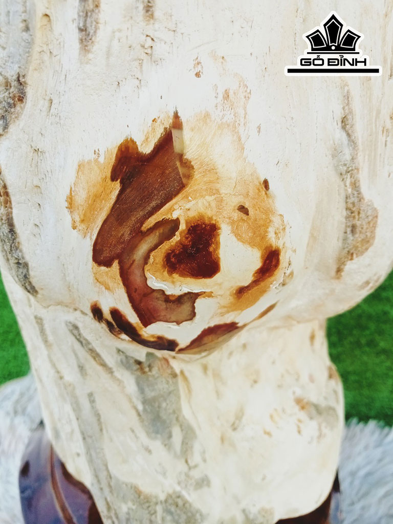 Tác Phẩm Gỗ Hóa Thạch Cao 49 Đường Kính 18 (cm) 19kg