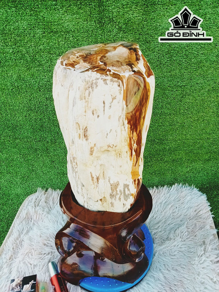 Tác Phẩm Gỗ Hóa Thạch Cao 49 Đường Kính 18 (cm) 19kg