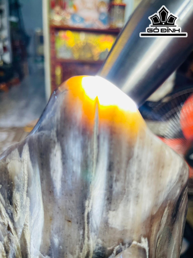 Tác Phẩm Gỗ Hóa Thạch Cao 55 (cm) 14kg