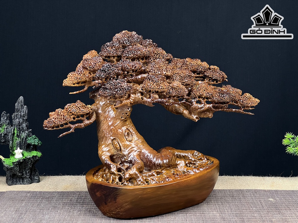 Cây Tùng Bonsai Gỗ Ngọc Am Cao 30 Ngang 43 Sâu 20 (cm)