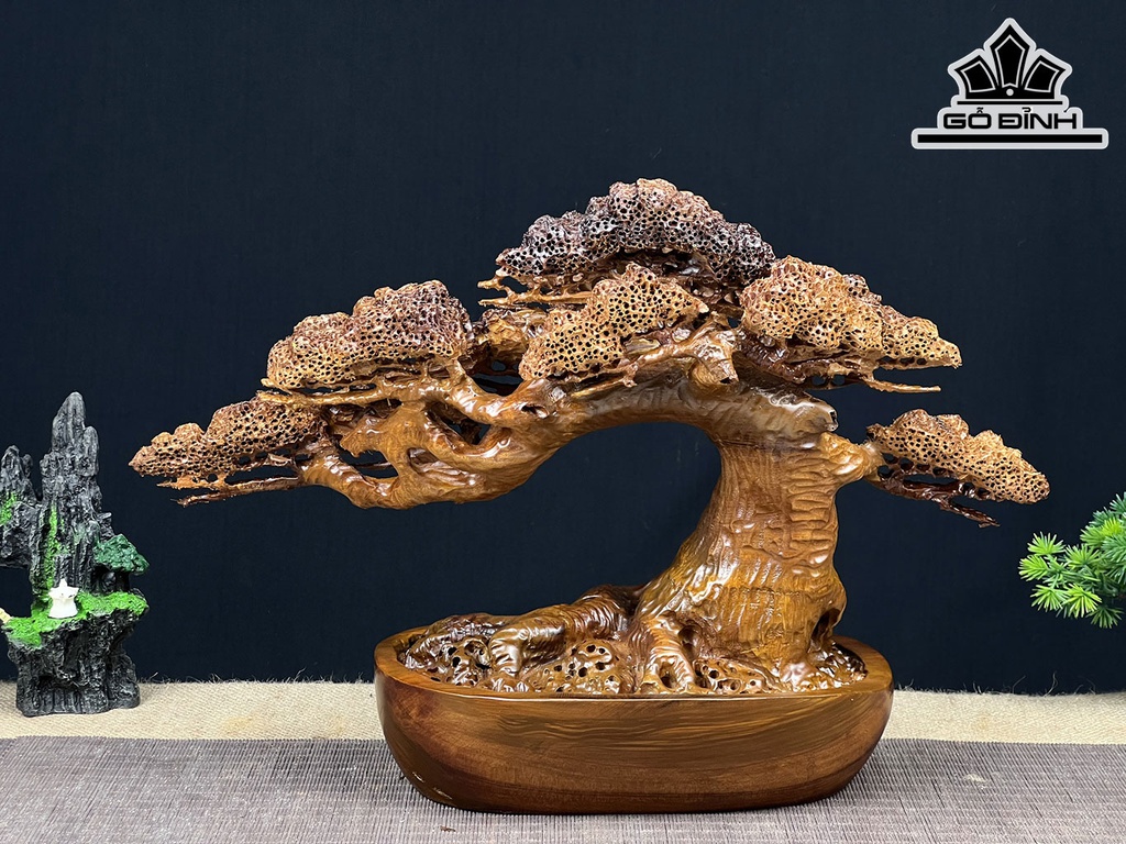 Cây Tùng Bonsai Gỗ Ngọc Am Cao 30 Ngang 43 Sâu 20 (cm)