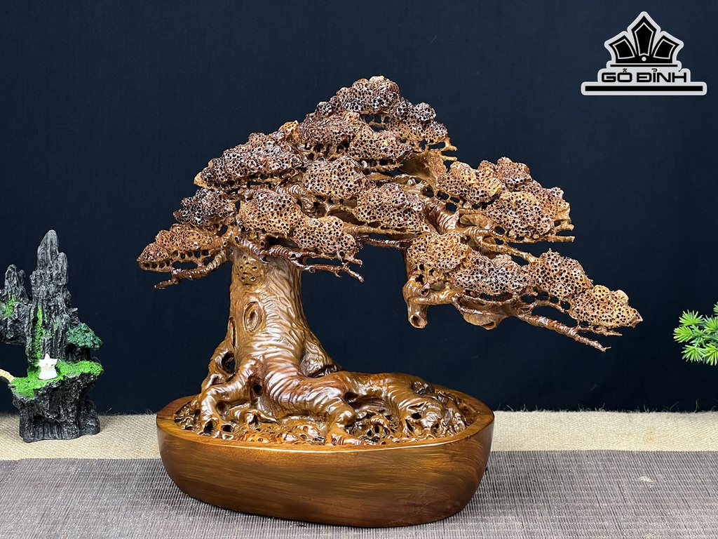 Cây Tùng Bonsai Gỗ Ngọc Am Cao 30 Ngang 43 Sâu 20 (cm)