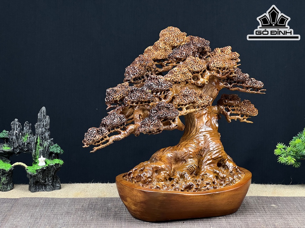 Cây Tùng Bonsai Gỗ Ngọc Am Ngang 40 Cao 33 Sâu 19 (cm)