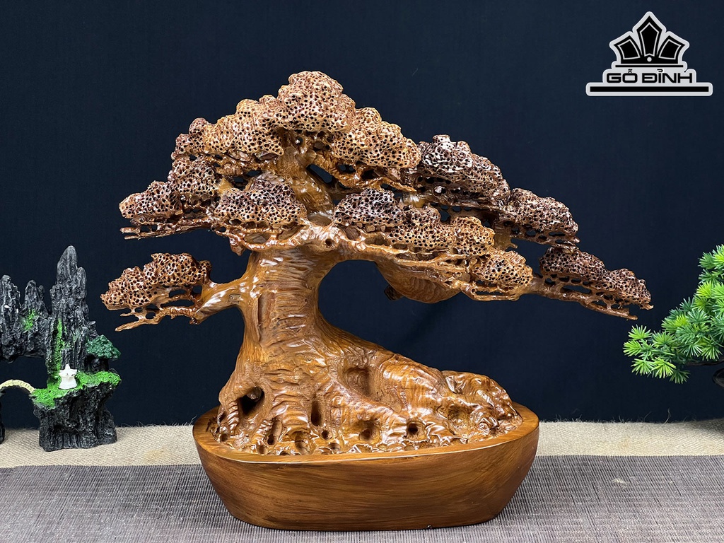 Cây Tùng Bonsai Gỗ Ngọc Am Ngang 40 Cao 33 Sâu 19 (cm)
