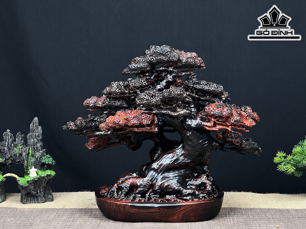 Cây Tùng Bonsai Gỗ Trắc Ngang 37 Cao 31 Sâu 19 (cm)