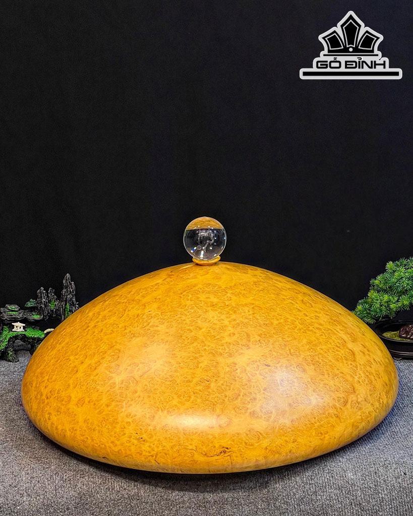 Chum Phú Quý Gỗ Nu Kháo Cao 30 Đường Kính 70 (cm)