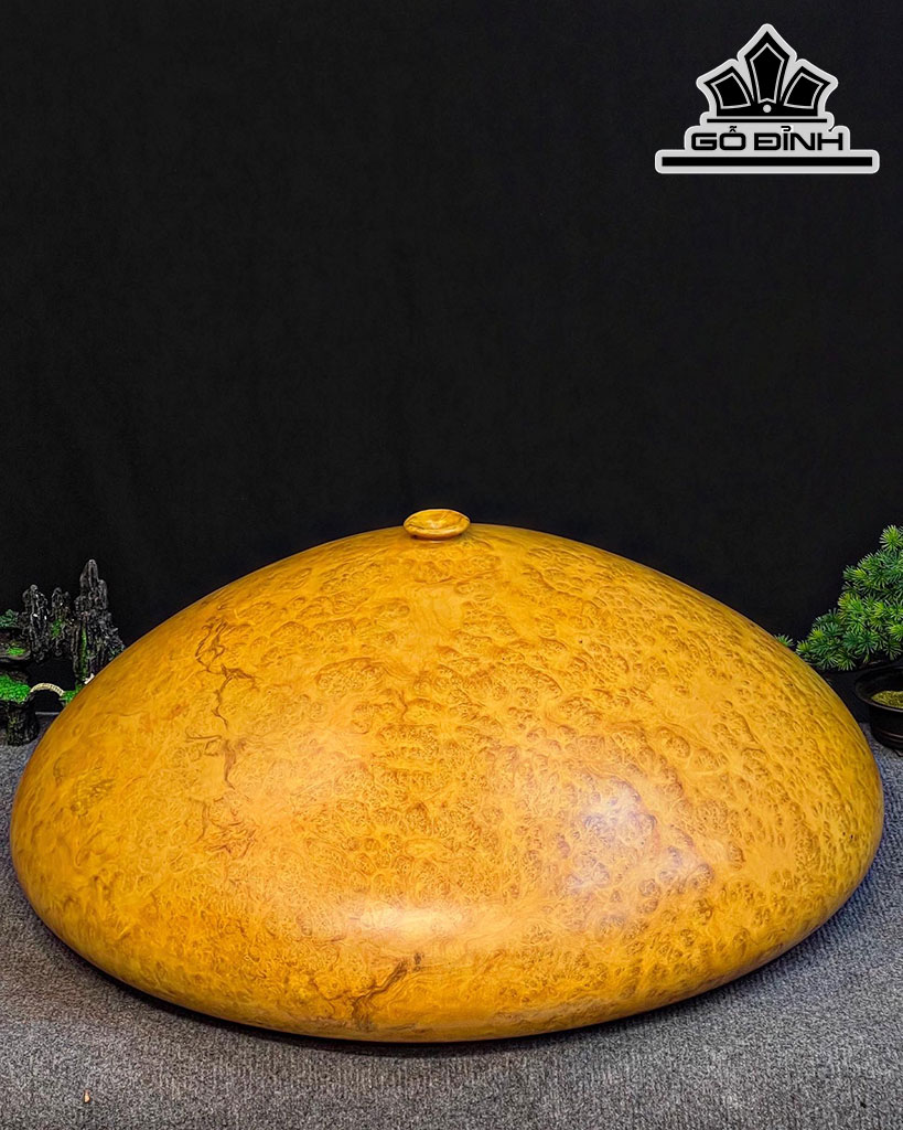 Chum Phú Quý Gỗ Nu Kháo Cao 30 Đường Kính 70 (cm)