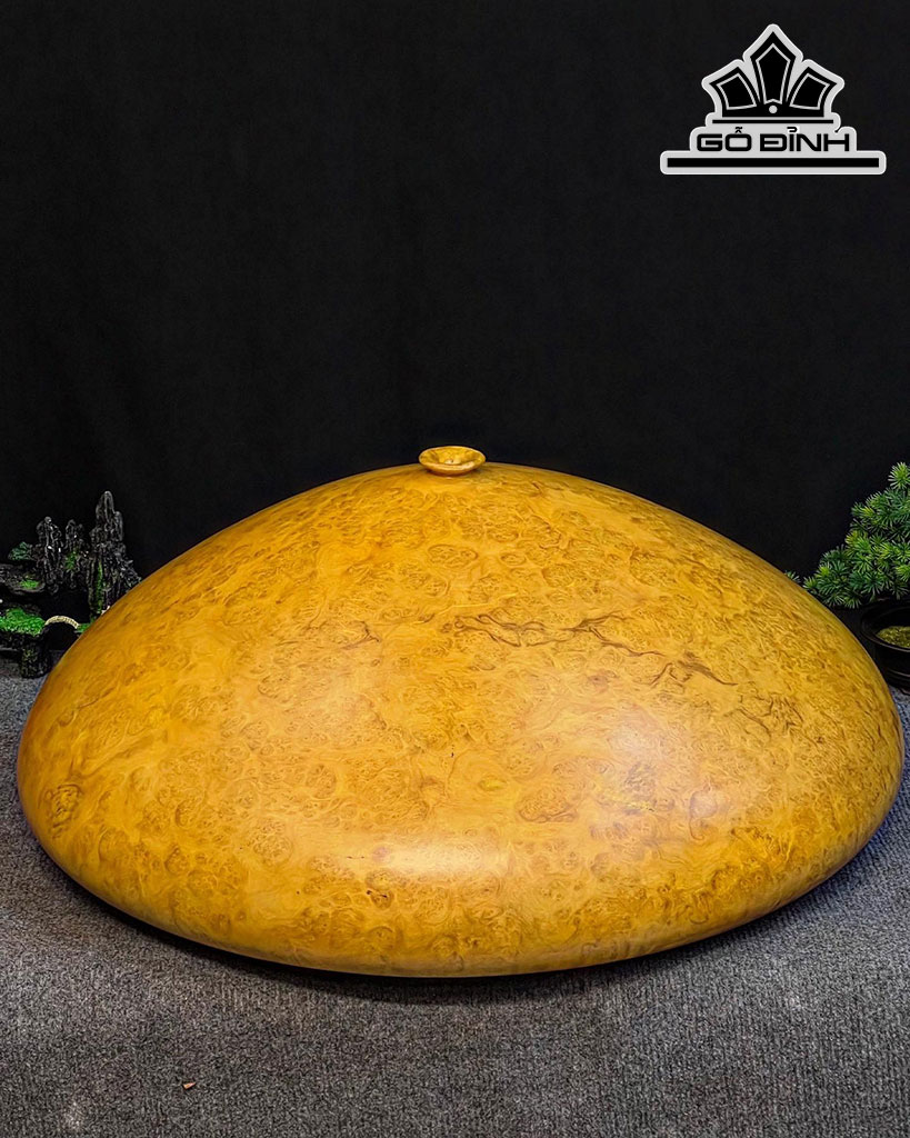 Chum Phú Quý Gỗ Nu Kháo Cao 30 Đường Kính 70 (cm)