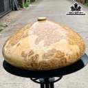 Chum Phú Quý Gỗ Nu Nghiến Cao 24 Đường Kính 48,5 (cm)