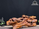 Tượng Báo Săn Mồi Gỗ Hương Ngang 55 Cao 22 Sâu 18 (cm)
