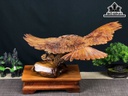 Tượng Đại Bàng Săn Mồi Gỗ Hương Cao 33 Ngang 52 Sâu 33 (cm)