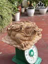 Tượng Thiềm Thừ Gỗ Ngọc Am Cao 28 Ngang 50 Sâu 50 (cm)