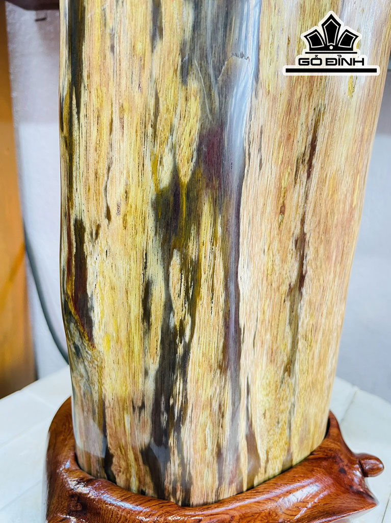 Tác Phẩm Gỗ Hóa Thạch Cao 39 Ngang 15 (cm) 8,2kg