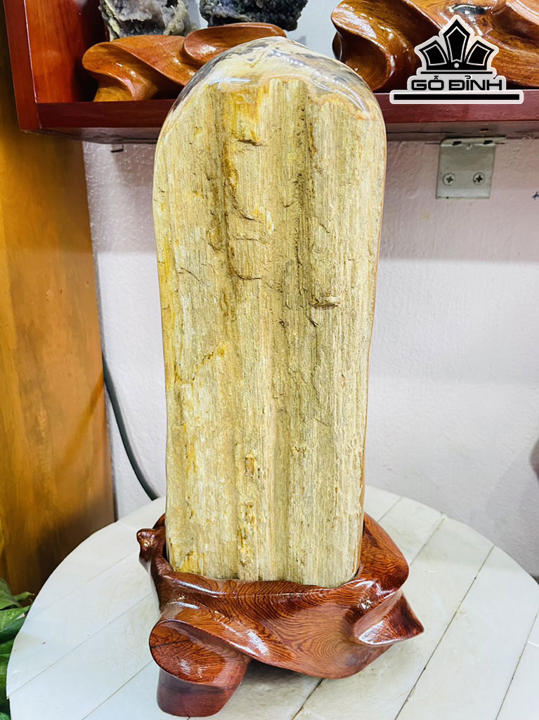 Tác Phẩm Gỗ Hóa Thạch Cao 39 Ngang 15 (cm) 8,2kg