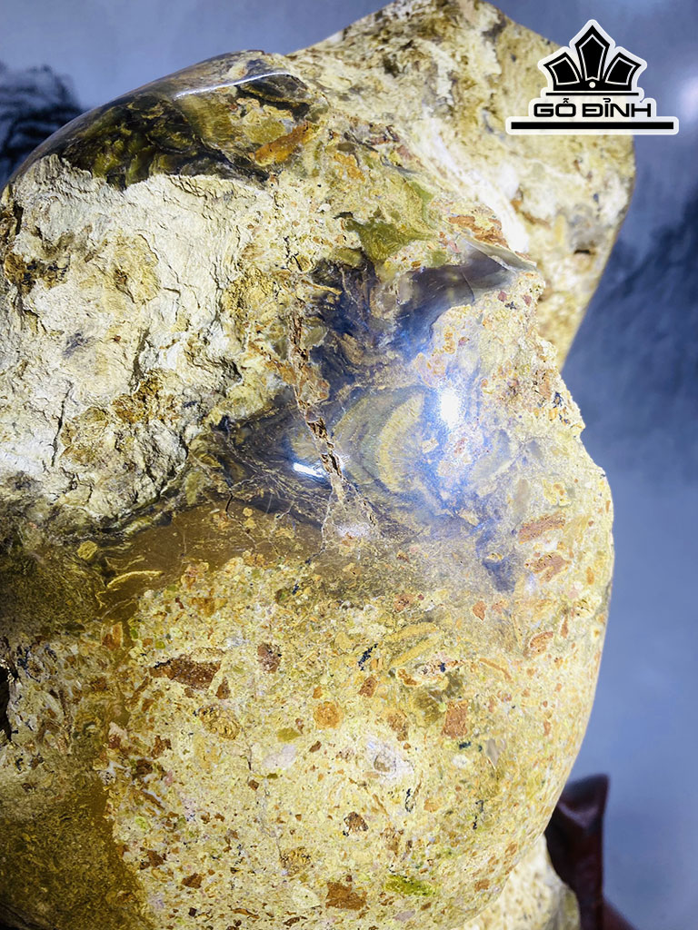 Tác Phẩm Gỗ Hóa Thạch Cao 44 Ngang 33 (cm) 19,4kg