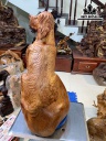 Tượng Chó Gỗ Hương Cao 56 Ngang 38 Sâu 30 (cm)