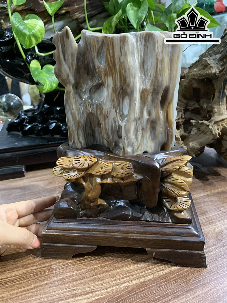 Hốc Gỗ Hóa Thạch Cao 26,8 Ngang 20 Sâu 13,5 (cm) 2,4kg