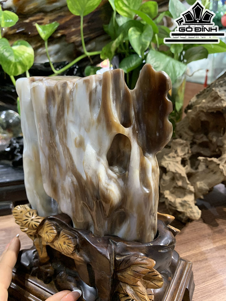 Hốc Gỗ Hóa Thạch Cao 26,8 Ngang 20 Sâu 13,5 (cm) 2,4kg