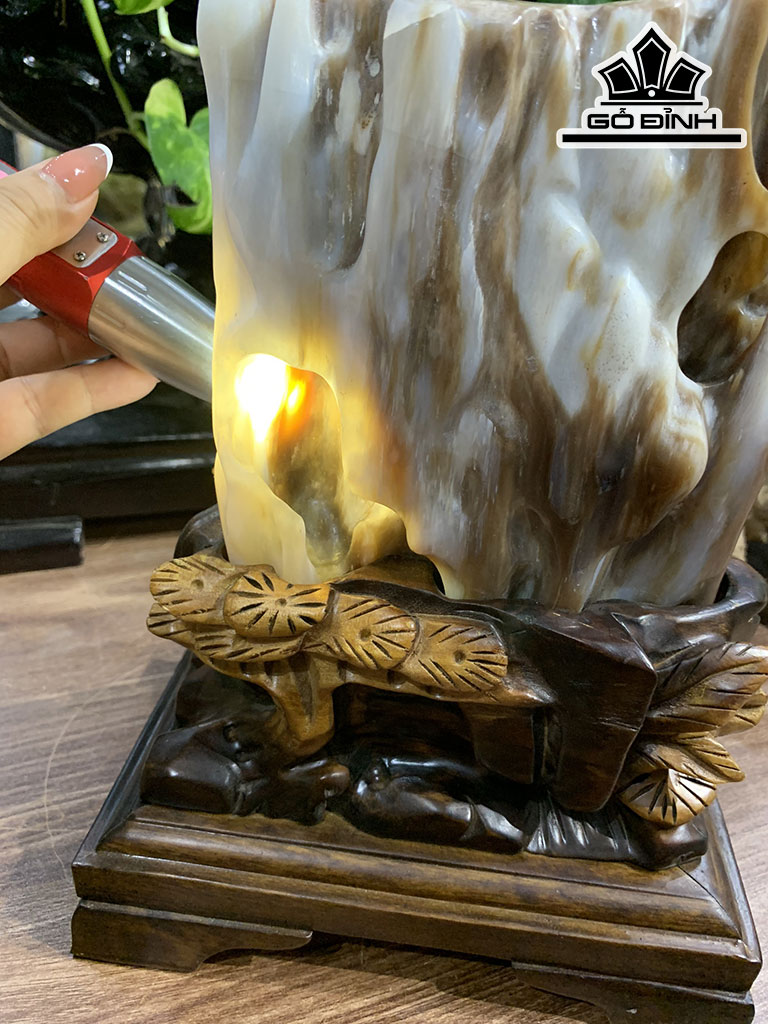 Hốc Gỗ Hóa Thạch Cao 26,8 Ngang 20 Sâu 13,5 (cm) 2,4kg