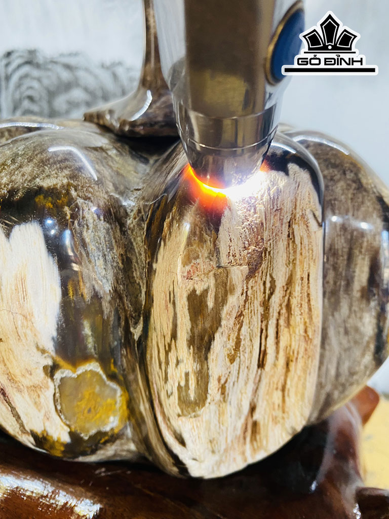 Tác Phẩm Quả Bí Ngô Gỗ Hóa Thạch Cao 25 Ngang 22 (cm) 8,2kg