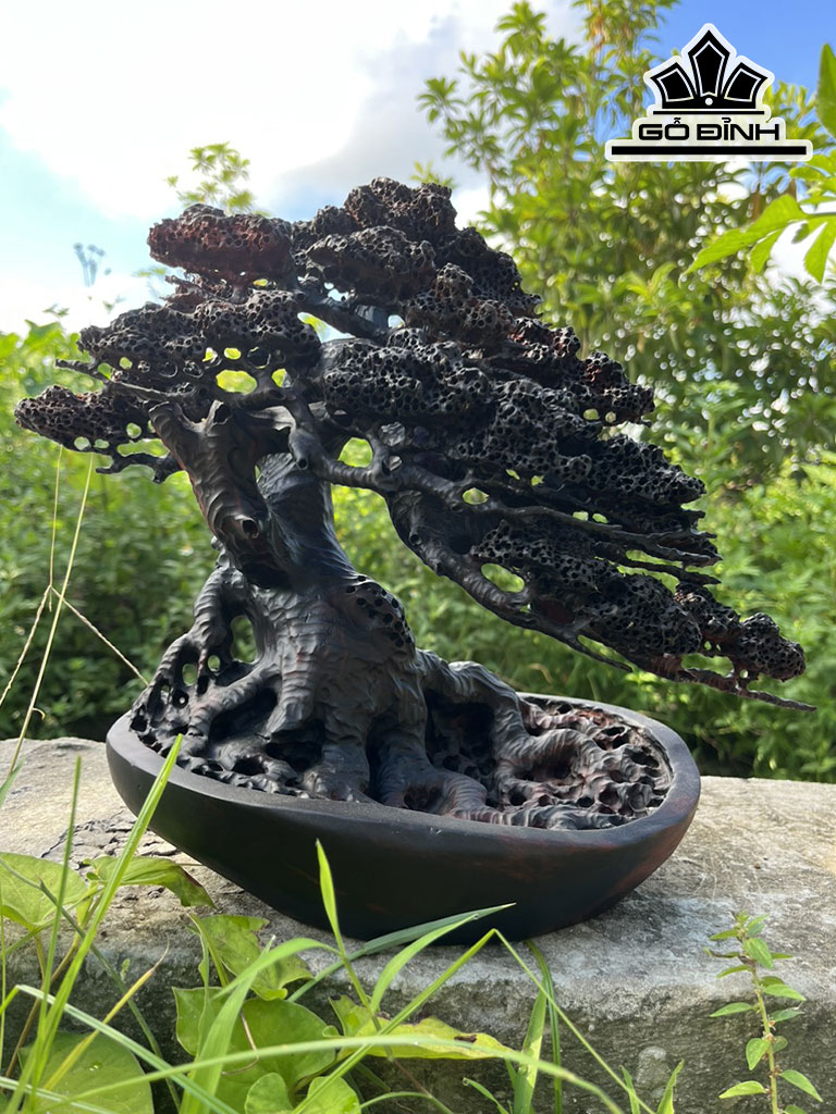 Cây Tùng Bonsai Gỗ Trắc Cao 28 Ngang 30 Sâu 13 (cm)