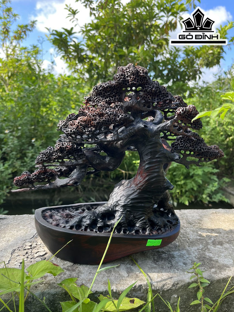 Cây Tùng Bonsai Gỗ Trắc Cao 28 Ngang 30 Sâu 13 (cm)